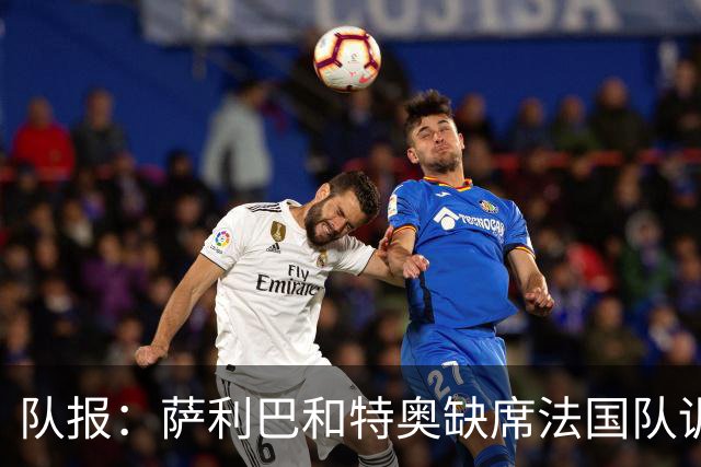 队报：萨利巴和特奥缺席法国队训练，但“无需担心”